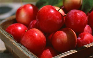 Đây là lý do dù không thích bạn cũng nên ăn mận