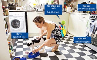 Đừng lơ là với chính những thứ này trong nhà: Vì chúng có thể làm hỏng phổi của bạn và gây bệnh hen