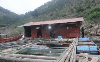 "Chị Dậu" ở hồ Thủy điện Hòa Bình: "Bán đàn chó không đủ tiền chữa bệnh"