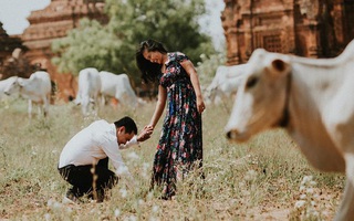 Mới đi làm bị đồng nghiệp "bắt nạt", cô giáo trẻ không ngờ "ma cũ" sau này lại là người chung chăn gối với mình