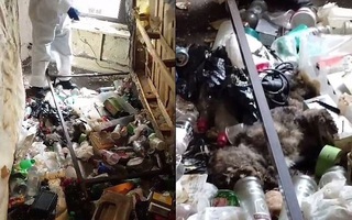 Quản lý tòa nhà suýt ngất khi thấy những gì còn sót lại trong căn hộ của kẻ thuê nhà bẩn nhất Manhattan, Mỹ