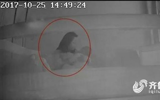 Con 1 tuổi thường xuyên khóc đêm, kiểm tra camera, mẹ bàng hoàng phát hiện bé thường xuyên bị bảo mẫu đánh đập