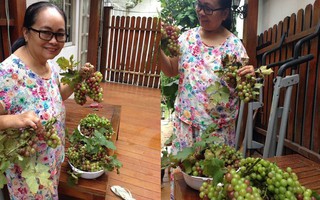 Con gái làm dâu nhà đại gia nhưng cha mẹ Tăng Thanh Hà vẫn sống giản dị, bình dân