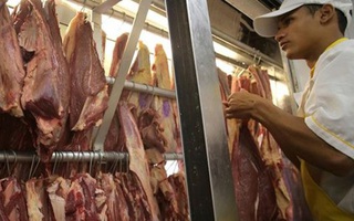 "Phát hoảng" với gà siêu rẻ Brazil: 7.000 đồng/kg
