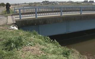 Bé gái người Việt phản kháng rất mạnh trước khi bị giết, có dấu hiệu bị ghì chặt cổ tay