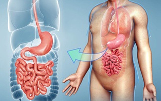 7 cách chăm sóc dạ dày để không lo bị bệnh: Mỗi người hãy nên làm ngay từ hôm nay