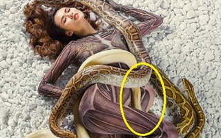 Vietnam's Next Top Model photoshop ẩu vì mải ghép trăn cho thí sinh?