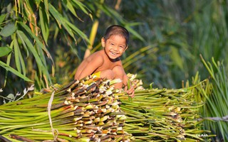 Thả hồn về miền Tây hiền hòa với bộ ảnh đẹp mê ly của thầy giáo gốc Bắc