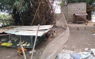 Vợ phát hiện chồng chết trong trạng thái treo cổ tại trang trại cá