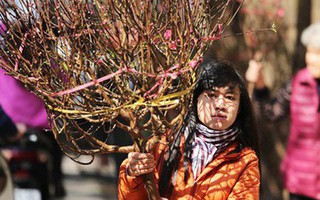 Chuyên gia khí tượng thuỷ văn nhận định về tình hình thời tiết tới Tết Nguyên đán