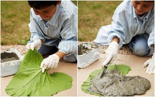 Cậu bé đem xi măng đổ lên lá cây, không ai ngờ đó lại là "tuyệt tác" người lớn cũng phải tấm tắc khen