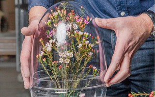 Những thiết kế tiểu cảnh Terrariums hình quả trứng gây thương nhớ cho bất kỳ ai khi ngắm nhìn