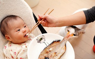 Cho trẻ ăn cá ít nhất 1 tuần 1 lần, kết quả hơn cả mong đợi