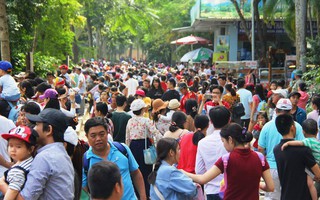 Trời tạnh ráo, nắng ấm người dân Hà Nội, Sài Gòn đổ dồn về khu trung tâm thưởng thức không khí Tết sớm