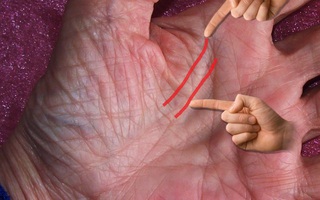 Phải là người may mắn lắm mới có đường này trên bàn tay, bạn có không?