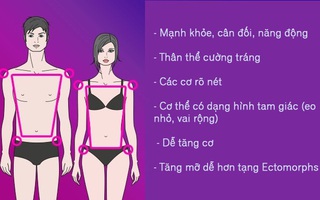 Cách giúp bạn biết chính xác mình thuộc tạng người nào để ăn uống và tập luyện phù hợp