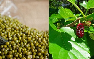 Chuyên gia "bật mí" bài thuốc Đông y cực đơn giản chữa dứt điểm mụn trứng cá, làm đẹp da