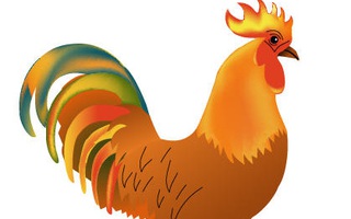 Năm con Gà bạn đã hiểu hết tính cách của những người tuổi Dậu?