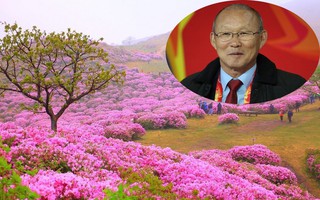 Thì ra vị HLV đáng kính của U23 Việt Nam Park Hang Seo từng sinh ra và lớn lên ở một vùng quê đẹp và yên bình đến vậy