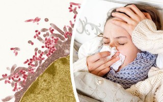 Cúm Nhật Bản - bệnh cúm khắc nghiệt của năm: Tại sao bệnh dễ lây lan và cách phòng ngừa