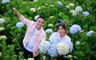 MC Hoàng Linh hạnh phúc như cô gái lần đầu biết yêu trong bộ ảnh cưới tại vườn cẩm tú cầu Đà Lạt