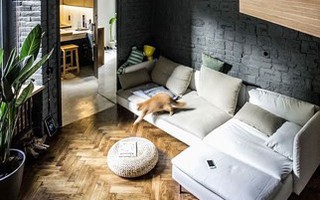 Căn hộ chung cư 35 m2 có gác lửng khiến nhiều người thích mê