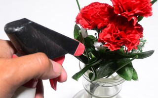 Mẹo hay làm sạch hoa lụa siêu dễ dàng, giúp căn nhà trở nên tươi mới trong tích tắc