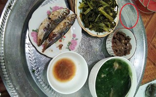Bữa cơm ngon lành lại bị các chị em soi ra "chi tiết lạ" trên mâm rồi chê trách vợ trẻ không tiếc lời