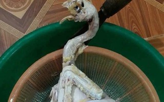 Đăng bức ảnh bóc mẽ vợ không biết làm gà, anh chồng "đỏ mặt" khi bị chị em phát hiện ra sự thật