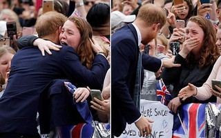 Đã có vợ và còn sắp lên chức bố nhưng Hoàng tử Harry vẫn có nhiều fan cuồng nhiệt, bằng chứng là đây chứ đâu