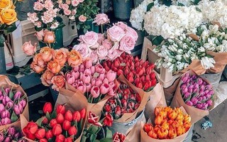 Tổng quan tuần mới của 12 cung Hoàng đạo: Xử Nữ đột phá trong sự nghiệp, Song Ngư nhạy bén về tài chính