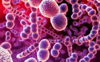 Nhiễm khuẩn E.Coli từ thực phẩm, 2 trẻ nhỏ trong cùng gia đình chết tức tưởi khiến ai cũng bàng hoàng