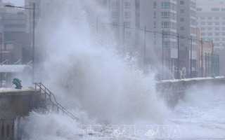 Bão Kong-rey 'càn quét' Hàn Quốc làm nhiều người mất tích, thiệt mạng