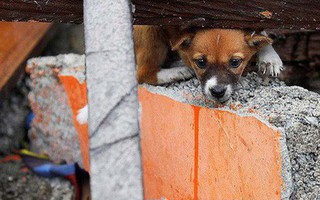 Sóng thần Indonesia: Cận cảnh đất hóa lỏng nhấn chìm cả làng