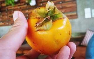 Cẩn thận với loại quả giòn ngon giàu dinh dưỡng này, đã có nhiều người bị tắc ruột chỉ vì ăn không đúng cách