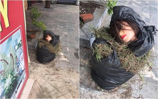 Sang đông gió lạnh run người, ra cửa nhà bỗng toát cả mồ hôi vì bắt gặp đôi mắt từ trong túi rác