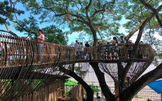 Chẳng cần sang Thái, ngay ở Cần Thơ cũng có quán cafe trên cây đẹp lung linh đang được check-in rầm rộ 