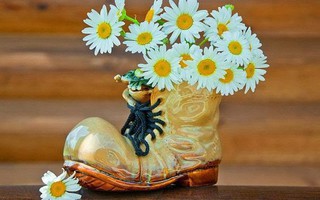 Thứ Hai của bạn (5/11): Song Ngư quên tận hưởng cuộc sống