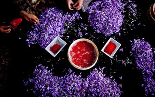Bí mật thú vị của saffron - gia vị đắt nhất thế giới gần 1 tỷ/kg từng được Nữ hoàng Ai Cập dùng dưỡng nhan 