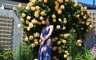 Khu vườn trăm hoa đua nở rực rỡ như chốn thiên đường của người phụ nữ Việt ở Úc