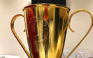 Vô địch, nhưng Tuyển Việt Nam chỉ được nhận bản mini của cúp vàng AFF Cup