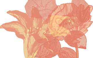 Loài hoa bạn nhìn thấy đầu tiên trong bức tranh ảo giác sẽ tiết lộ ưu điểm của bản thân bạn