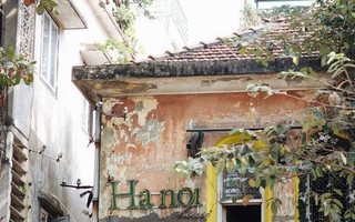 Hà Nội những ngày mùa đông có nắng, không ra đường chính là có lỗi với thời tiết