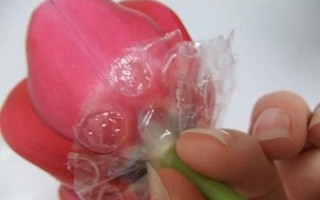 7 mẹo vặt và thủ thuật giúp bạn cắm hoa đẹp, hóa nữ công gia chánh trong mắt mọi người