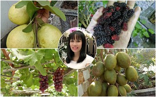 Kinh nghiệm trồng cả vườn cây trái xum xuê như trang trại trên sân thượng của mẹ đảm ở Biên Hòa