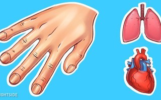 Dấu hiệu ở tay cũng có thể chỉ ra một số vấn đề về sức khỏe, đừng bao giờ bỏ qua dấu hiệu thứ 4