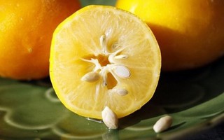 Người đàn ông suýt mất mạng chỉ vì làm điều này khi ăn cam