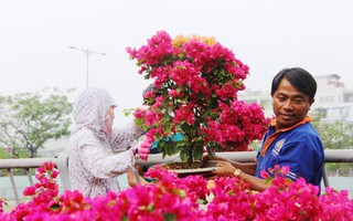 Độc đáo chợ hoa Tết được bày bán trên sông, bến Bình Đông nhộn nhịp ngày cuối năm