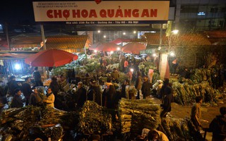 Chợ hoa Quảng An tấp nập đêm trước Giao thừa