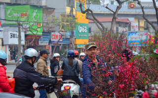 Người mua hoa lý giải việc phải chờ đến ngày 29, 30 Tết: "Cũng vì nhiều người bán hét giá cao quá!"